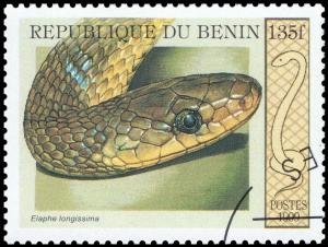 Colnect-3523-713-Aesculapian-Snake-Elaphe-longissima.jpg