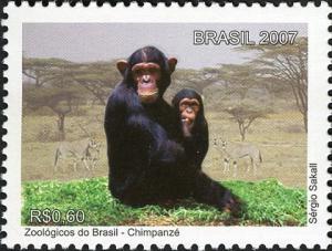 Colnect-468-610-Chimpanzee-Pan-troglodytes.jpg