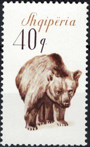 Colnect-5562-915-Brown-Bear-Ursus-arctos.jpg