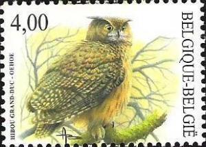 Colnect-567-438-Eurasian-Eagle-Owl-Bubo-bubo.jpg