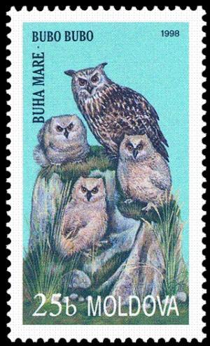 Colnect-797-860-Eurasian-Eagle-Owl-Bubo-bubo.jpg