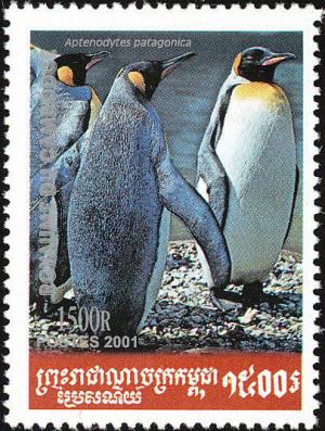 Colnect-803-089-King-Penguin-Aptenodytes-patagonicus.jpg
