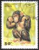 Colnect-1080-145-Chimpanzee--Pan-troglodytes.jpg