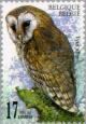Colnect-187-414-Common-Barn-Owl-Tyto-alba.jpg
