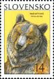 Colnect-1940-573-Brown-Bear-Ursus-arctos.jpg