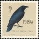 Colnect-2665-764-Common-Raven-Corvus-corax-.jpg