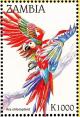 Colnect-3507-602-Red-and-green-Macaw%C2%A0-%C2%A0Ara-chloropterus.jpg