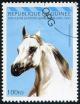 Colnect-3727-001-White-Arabian-Horse-Equus-ferus-caballus.jpg