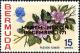 Colnect-3909-251--quot-Passion-Flower-quot----overprinted.jpg