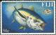 Colnect-3950-338-Yellowfin-Tuna-Thunnus-albacares.jpg