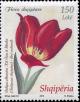 Colnect-3984-378-Albanian-tulip-Tulipa-albanica.jpg