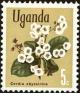 Colnect-4257-199-East-African-cordia-Cordia-abyssinica.jpg