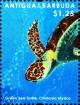 Colnect-5942-821-Head-of-Green-Sea-Turtle-Chelonia-mydas.jpg