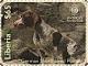 Colnect-7366-514-German-Shorthaired-Pointer.jpg
