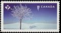Colnect-3550-955-Hoar-frost-on-tree.jpg