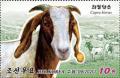 Colnect-6777-954-Goat-Capra-hircus.jpg