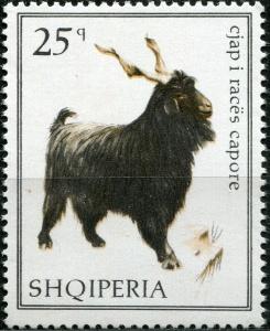 Colnect-2317-682-Domestic-Goat-Capra-aegagrus-hircus.jpg