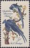 Colnect-1845-615-Audubon---Black-throated-Magpie-jay-Calocitta-colliei.jpg
