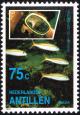 Colnect-2206-465-Skindiver-Yellow-Goatfish-Mulloidichthys-martinicus.jpg