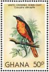 Colnect-1459-750-White-crowned-Robin-Chat-Cossypha-albicapilla.jpg