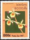 Colnect-2785-174-Dendrobium-gratiossissimum.jpg