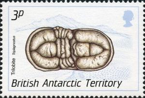 Colnect-1567-953-Trilobite-Triplagnostus.jpg