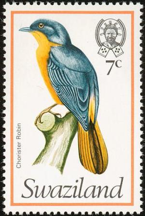 Colnect-1661-875-Chorister-Robin-chat-Cossypha-dichroa.jpg