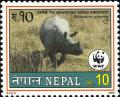 Colnect-1786-161-Indian-Rhinoceros-Rhinoceros-unicornis.jpg