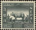 Colnect-4972-410-Indian-Rhinoceros-Rhinoceros-unicornis.jpg