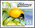 Colnect-5562-403-Seven-Spot-Ladybird-Coccinella-septempunctata-freshly-hatc.jpg