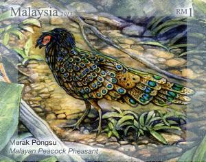 Colnect-2568-038-Malayan-Peacock-pheasant-Pavo-malacense.jpg