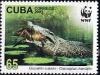 Colnect-1458-988-Cuban-Crocodile-Crocodylus-rhombifer.jpg