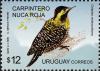 Colnect-2043-610-Green-barred-Woodpecker-Colaptes-melanochloros.jpg