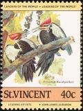 Colnect-1748-162-Pileated-Woodpecker-Dryocopus-pileatus.jpg