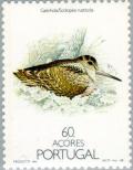 Colnect-186-399-Eurasian-Woodcock-Scolopax-rusticola.jpg