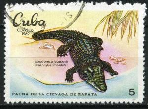 Colnect-1436-370-Cuban-Crocodile-Crocodylus-rhombifer.jpg
