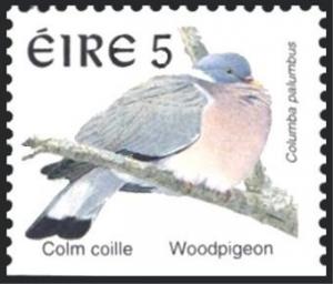 Colnect-1805-748-Common-Woodpigeon-Columba-palumbus.jpg