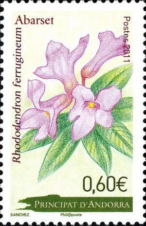 Colnect-2075-290-Rhododendron-ferrugineum.jpg