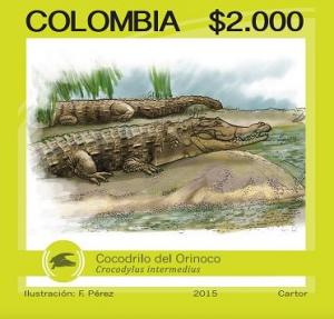Colnect-2942-600-Orinoco-Crocodile-Crocodylus-intermedius.jpg