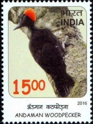 Colnect-3708-823-Andaman-Woodpecker-Dryocopus-hodgei.jpg
