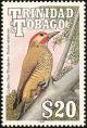 Colnect-744-225-Golden-olive-Woodpecker-Colaptes-rubiginosus.jpg