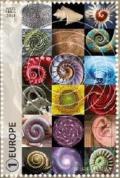 Colnect-5044-576-Collection-of-spiral-shapes-in-nature.jpg