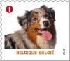 Colnect-1047-687-Domestic-Dog-Canis-lupus-familiaris.jpg