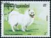Colnect-4445-043-Samoyed-Dog-Canis-lupus-familiaris.jpg