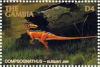 Colnect-4729-564-Compsognathus-elegant-jaw.jpg
