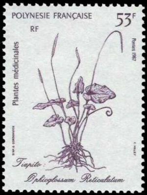 Colnect-3225-209-Ophioglossum-reticulatum.jpg
