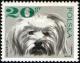 Colnect-2114-267-Maltese-Dog-Canis-lupus-familiaris.jpg