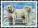 Colnect-3627-952-Samoyed-Dog-Canis-lupus-familiaris.jpg