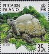 Colnect-5057-709-Mr-Turpin-tortoise-Chelonoidis-elephantopus.jpg