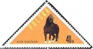 Colnect-452-094-Horse-from-Sokolka-Equus-ferus-caballus.jpg